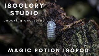 Armadillidium Vulgare quotMagic Potionquot Isopods Unboxing and set up [upl. by Gyimah]