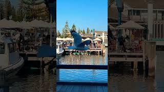 Fremantle a popular destination for both locals and tourists offering a different pace [upl. by Errick]