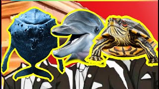 Whale Vs Dolphin Vs Turtle  Coffin Dance Meme Cover [upl. by Yraillih]