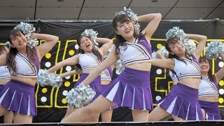 ソフィア祭2018⑥ 大会演技 上智大学インカレチアダンスサークルJESTY [upl. by Nirak]