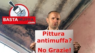 Quale pittura scegliere contro la muffa Lantimuffa NO [upl. by Dong]