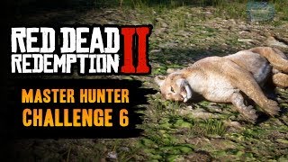 Red Dead Redemption 2 Master Hunter Challenge 6 Guide  Kill 5 Cougars with your Bow [upl. by Ari221]