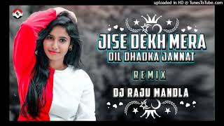 JISHE DEKH MERA DIL  NEW HINDI BOLLYWOD SONG  DJ RAJU OFFICIAL MANDLA NewCgbollywodSong [upl. by Isolt]