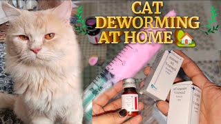 CAT DEWORMING AT HOME  How To Deworm Cats And Kittens  Cat Deworming Made Easy [upl. by Almeda266]