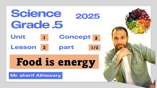 Science 5  Food is energy Grade 5  Unit 1Concept 2 Lesson 2  Part 12 [upl. by Eciened]