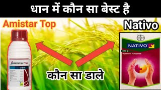 धान में कोन सा बेस्ट हे Nativo या Amistar TopNativo vs Amistar top kon sa best h nativo or Amistar [upl. by Nappy]