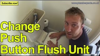 HOW TO CHANGE A PUSH BUTTON FLUSH UNIT  Plumbing Tips [upl. by Ativahs]