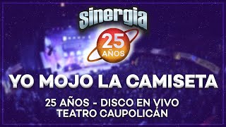 Sinergia  Yo Mojo La Camiseta 25 Años En Vivo Teatro Caupolicán [upl. by Sanfourd989]