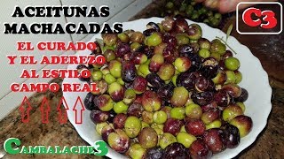 ACEITUNAS MACHACADAS AL ESTILO CAMPO REAL EL ENDULZADO O CURADO EL CONSERVADO Y EL ADEREZO [upl. by Helge]