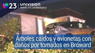 Árboles caídos viviendas afectadas y avionetas con daños reportan tornados en zonas de Broward [upl. by Rego]