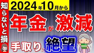 【10月から】手取りが激減！？年金通知書を見て絶望！最大4万円の減額！受給者全員が関係！【厚生年金社会保険料税金住民税】 [upl. by Aiyt7]