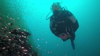 Koh Lanta 032024 thailand gopro4 kohlanta tauchen lantafundivers lanta krabi [upl. by Erehc89]