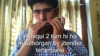 Aashiqui 2 tum hi ho mouthorgan jitender teherpuria [upl. by Adnolahs]