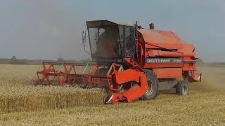 Mähdrescher DeutzFahr M1322 Weizenernte bei Meldorf [upl. by Mufi410]