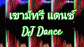 เขามัทรี แดนซ์ DJ Dance2024 [upl. by Leahcim]