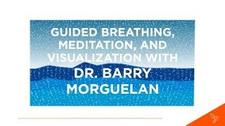 Guided Breathing Meditation and Visualization with Dr Barry Morguelan [upl. by Norret291]