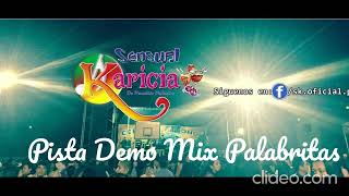 PISTA DEMO  MIX PALABRITAS  SENSUAL KARICIA [upl. by Amalbergas]