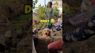 Cute Adventure 🥺 Dogvlog shorts vlog vlogger [upl. by Eiramanitsirhc160]