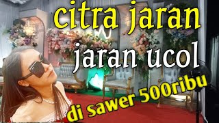 CITRA JARAN JARAN UCOL PART 2  OFFICIAL LIVE MUSIK BY ADELITA MUSIK [upl. by Rosenfeld973]