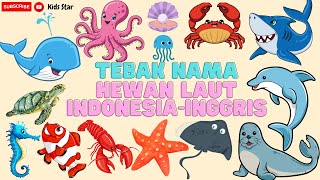 BELAJAR MENGENAL NAMANAMA HEWAN LAUT DALAM BAHASA INDONESIA DAN BAHASA INGGRIS  LEARNING ANIMALS [upl. by Nitza]