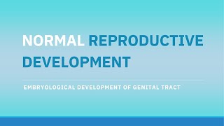 Understanding Reproductive Development From Embryo to Puberty  The AZ of Obstetrics amp Gynaecology [upl. by Ayotl700]