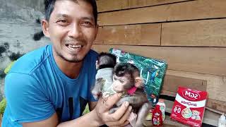 UNBOXING  package delivery from SUBSCRIBER equipment for baby monkeys Miko and Bimbim [upl. by Ojeibbob]