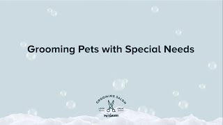 Grooming Special Needs Pets  PetSmart [upl. by Annahsohs]