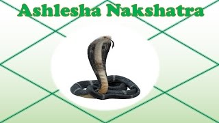 Ashlesha Nakshatra [upl. by Flagler]