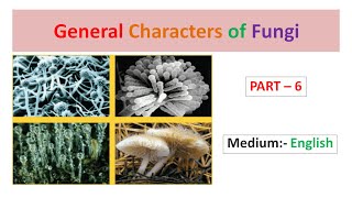 General Characters of Fungi Part6 English [upl. by Rehotsirk]