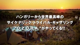 ageHa 15124 Sat OZORA One Day in Tokyo [upl. by Bruyn]