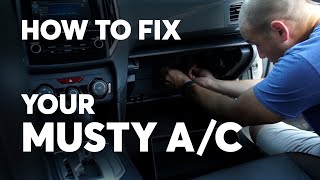 How to Get Rid of the Musty Smell From Your Car’s Air Conditioner  Consumer Reports [upl. by Ydnak]