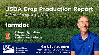 USDA Crop Production Report Released August 12 2024 [upl. by Inaliel375]