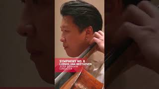 Now on YouTube Beethovens 8th Symphony [upl. by Girish]