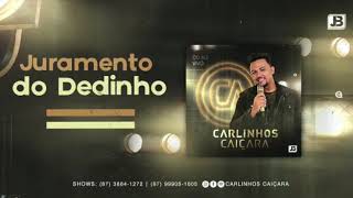 Juramento Do Dedinho  Carlinhos Caiçara [upl. by Neenaj]