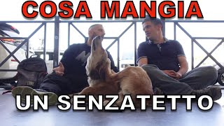 Cosa mangia un SENZATETTO [upl. by Pliam]