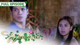 ENG SUB Ep 193  Wildflower  Maja Salvador Tirso Cruz III Aiko Melendez [upl. by Ymirej824]