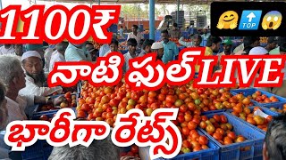 02102024 kolar tomato market ratetoday Kolar tomato market price kolartomatomarkettomato [upl. by Hilbert]