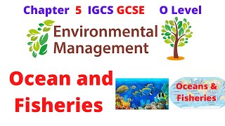 Ocean and Fisheries Environmental Management Chapter 5 IGCSE 0680 [upl. by Ranchod]