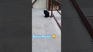 Ketis Music 🤝 🙀 [upl. by Lorrin]