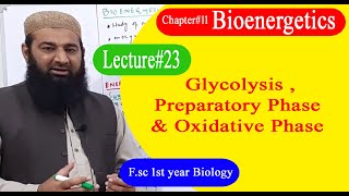 Biology Ch23Lecture11 Glycolysis and preparatory phase FSc 1st Year [upl. by Euqilegna]