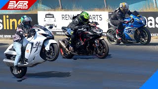 HAYABUSA 🆚 Kawasaki ZH2 🆚 GSXR1000 🆚 FZ1 🆚 CBR1000RR  DRAG RACES Carnival Cup 2023 [upl. by Nikita316]