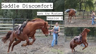 Saddle Discomfort  Hank Session 8 [upl. by Arleta]