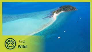 Australias Greatest Islands  Go Wild [upl. by Ury]