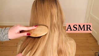 ASMR 1 HOUR HAIR BRUSHING COMPILATION NO TALKING [upl. by Laird]