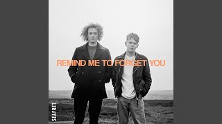 Remind Me to Forget You [upl. by Admana]