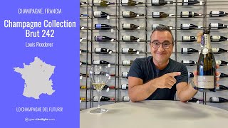 Collection 242 Roederer lo Champagne del futuro [upl. by Yadrahc]