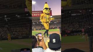 Banana Split savannahbananas coachrachelsays michaeljackson 1000subscriber sutterhealthpark [upl. by Patten]