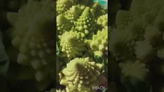 Mathematics in Nature Romanesco broccoli 🥦🥦🥦pattern beauty nature vegetables [upl. by Ihcego781]