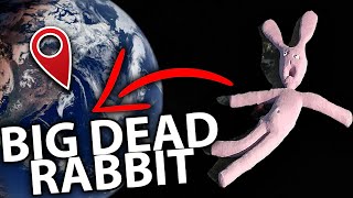 Creepy DEAD BIG PINK RABBIT 🙀 found On Google Earth [upl. by Chapland]