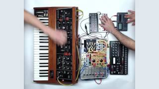 finger workout minimoog elektron analog four eurorack etc [upl. by Neala]